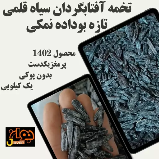 تخمه آفتابگردان ممتاز ،بوداده روزانه،نمکی ترد محصول 1403(یک کیلویی)