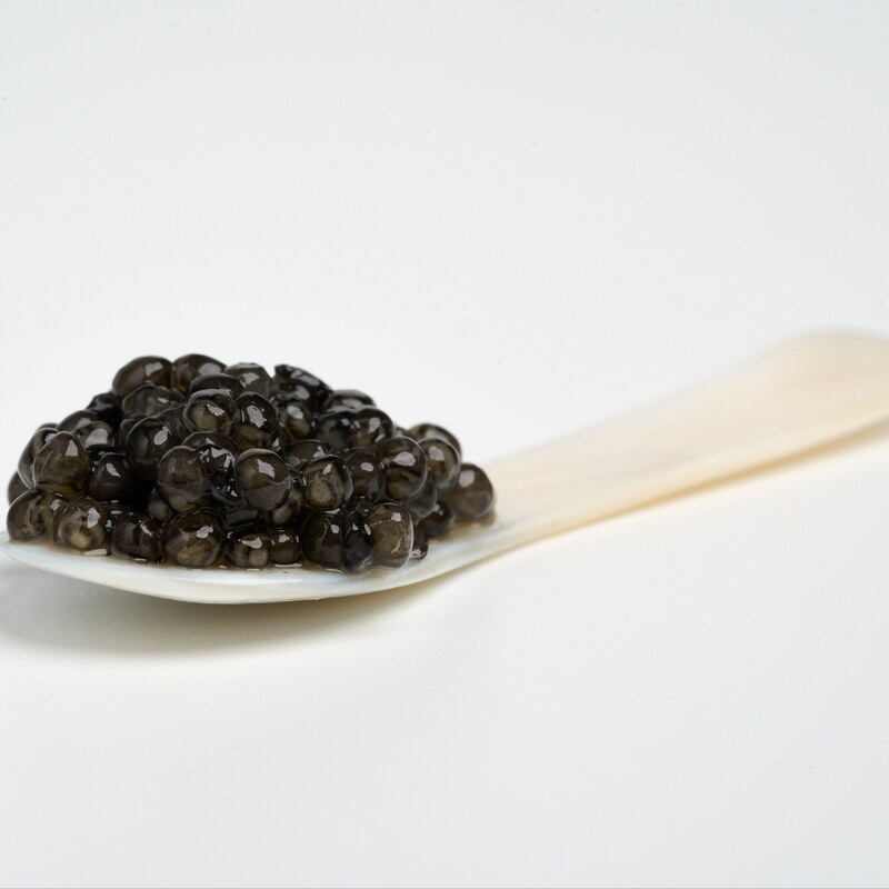خاویار سوروگا کاسپیران خاویار 50 گرمی (SEVRUGA Caspiran Caviar 50 g)