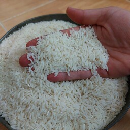 برنج هاشمی اعلا و خالص