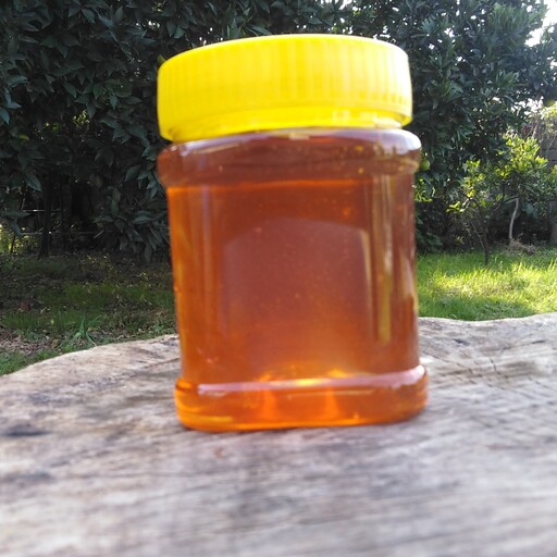 عسل 40 گیاه نیم کیلویی ساکارز 2 مناسب افراد دیابتی و عسل درمانی 