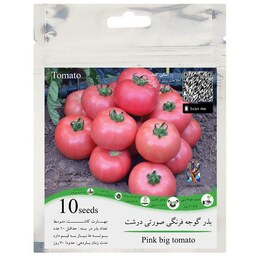 بذر گوجه فرنگی صورتی درشت گلس گاردن بسته 10 عددی