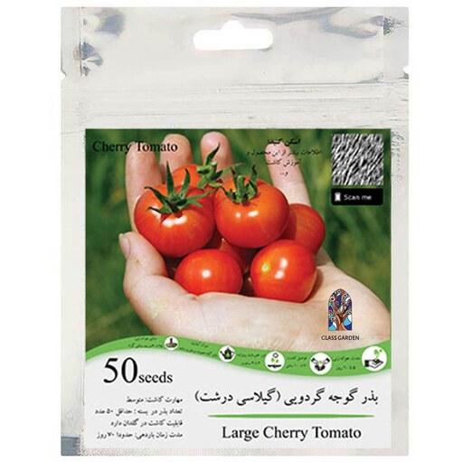 بذر گوجه چری گیلاسی درشت گوجه گردویی گلس گاردن بسته 50 عددی