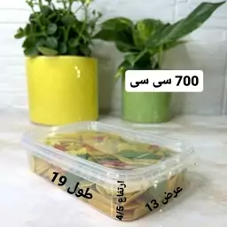 ظرف دردار فریزری 700 سی سی پولاد پویش 