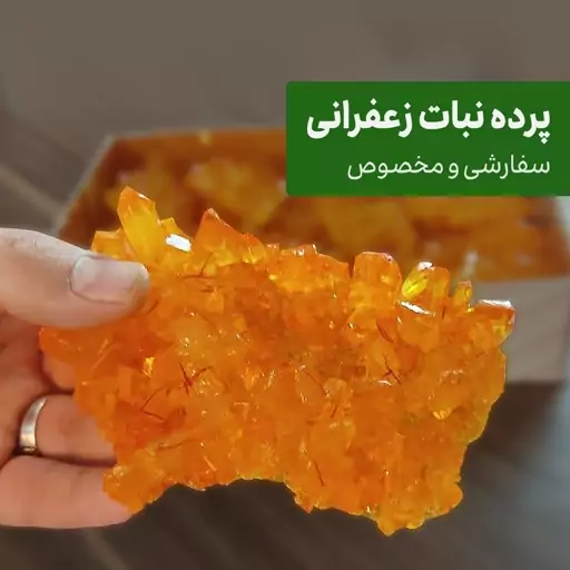 نبات پرده مخصوص 3 کیلویی