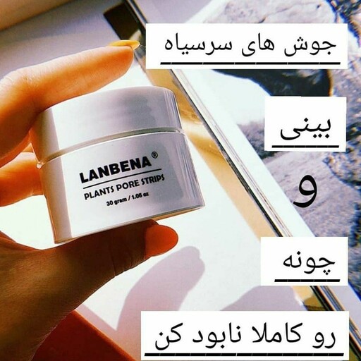 ماسک کاسه ای پاکسازی جوشهای سرسیاه