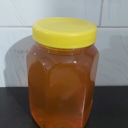 عسل طبیعی گون.رنگ روشن.کوهستانی  .بوی معطر  .سرشار از آنتی اکسیدان