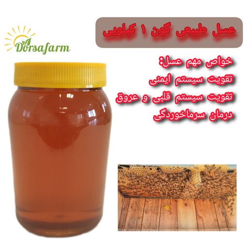 عسل 1 کیلویی طبیعی تیره قیمت مناسب و باکیفیت(مستقیم از  تولیدکننده)