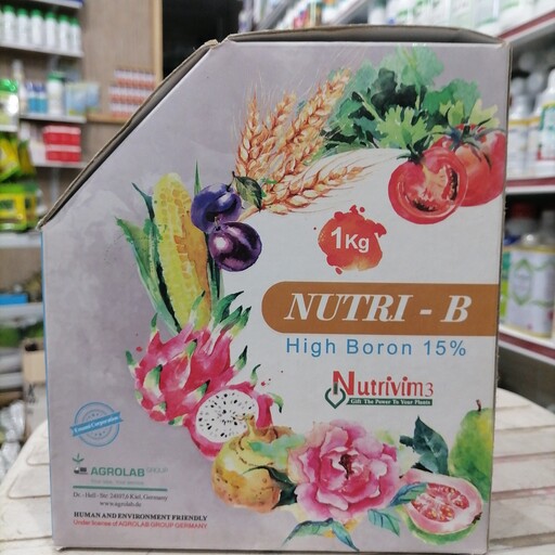 کود نوتری بی NUTRI B یک کیلویی پودری قابل استفاده به روش کود آبیاری، محلول پاشی، هیدروپونیک، زیر قیمت کارخانه 