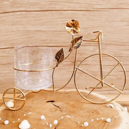 جاقاشقی آبگز طرح دوچرخه آبکاری با کیفیت جانباتی جا نباتی جا قاشقی