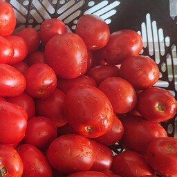 رب گوجه فرنگی خانگی به شرط کیفیت رنگ و طعم با قابلیت مرجوع