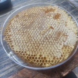 عسل طبیعی باموم صدرصدخودبافت نرم ونازک  شهدغالب گون وآویشن بسته بندی یک کیلوگرمی خریداززنبوردار