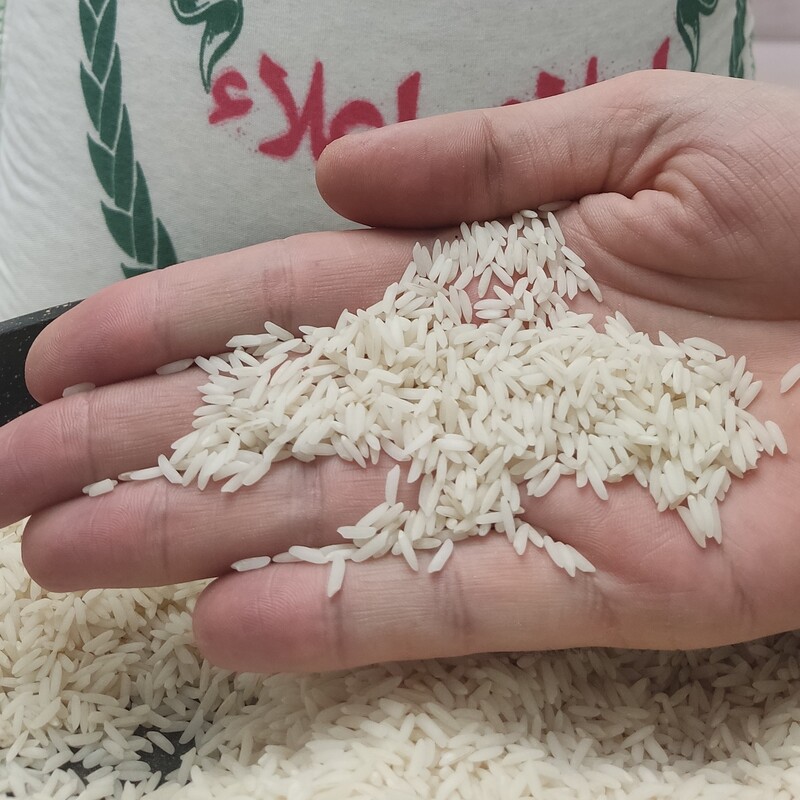 برنج  هاشمی 10 کیلویی، درجه یک خوش عطر و طعم یک دست بشرط پخت و ری کشیدن عالی، برای امساله ،از مزارع کشاورزی سرسبز شمال 