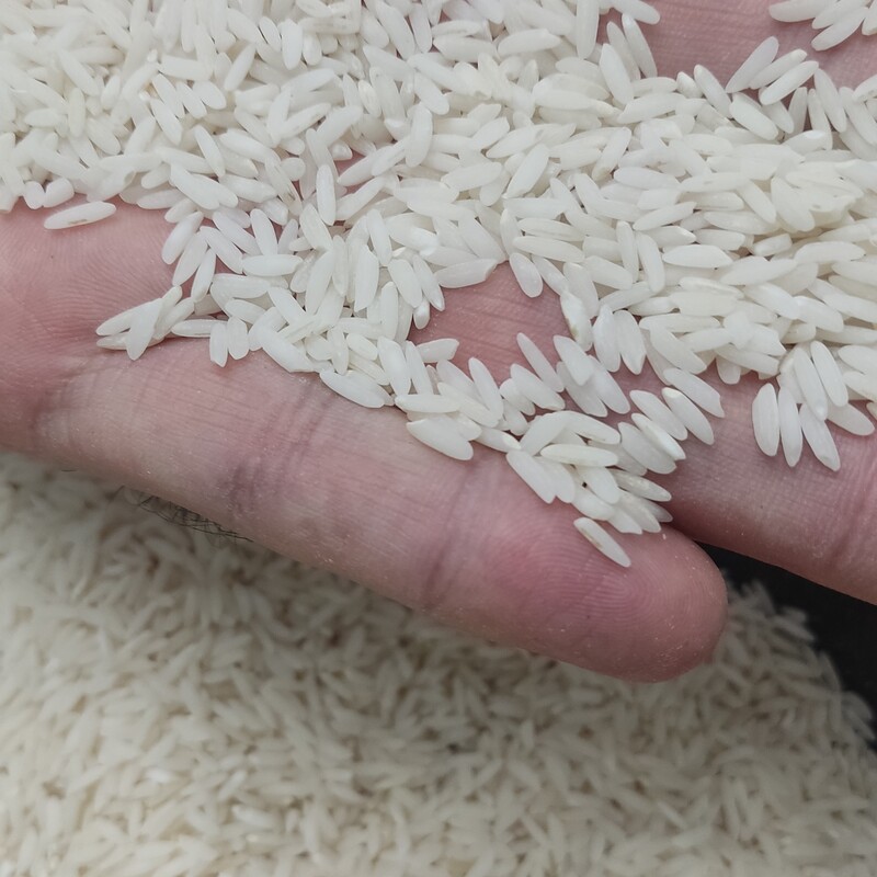 برنج طارم محلی (علی کاظمی) امساله ،خوش عطر و بو،درجه یک، محصول مزارع سرسبز شمال