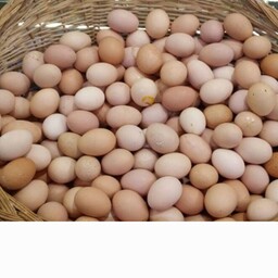 تخم مرغ محلی گیلان 20 عددی بی بی جان