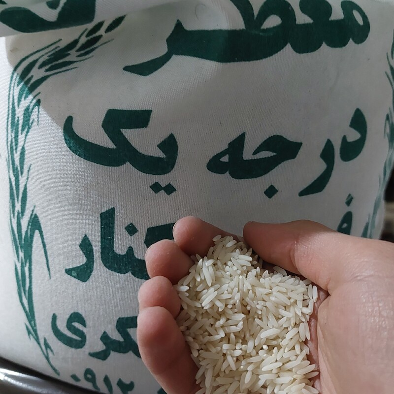 برنج طارم شکری معطر فریدونکنار، کشت اول امساله 10 کیلویی