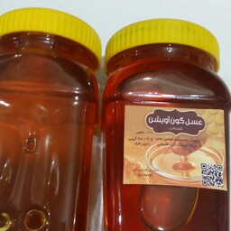 عسل ترکیبی گون و آویشن 