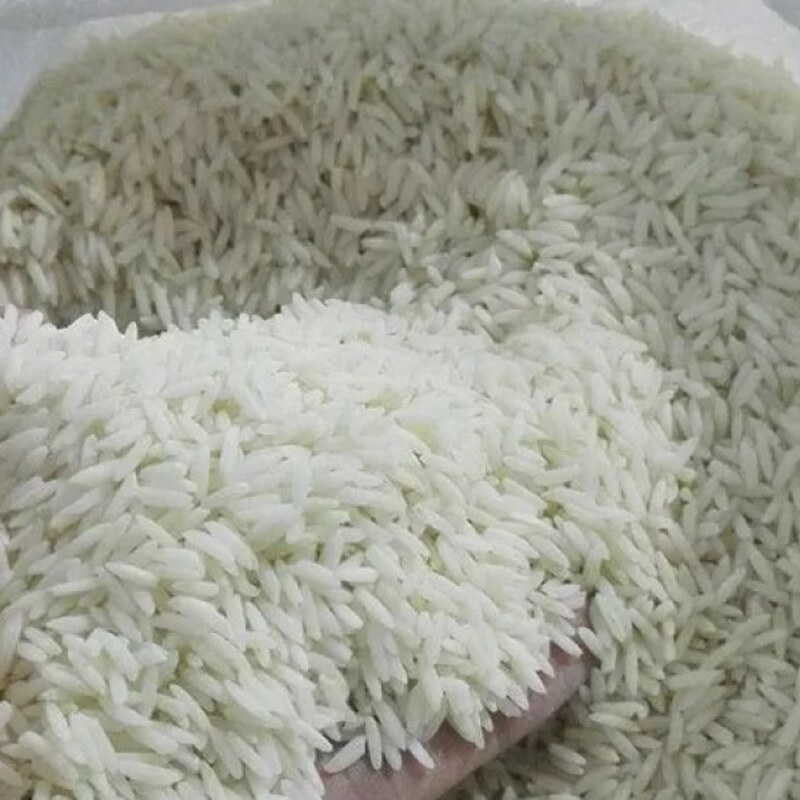 برنج هاشمی درجه یک الک شده کشت امساله فریدونکنار بسته 10 کیلویی ارسال رایگان