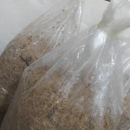 کمپوست قارچ صدفی گوشتی سفید  بسته4کیلویی  در خانه و اتاق و پارکینگ  و انباری میشه پرورش داد 