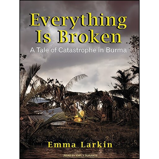 کتاب زبان اصلی Everything Is Broken اثر Emma Larkin and Emily Durante