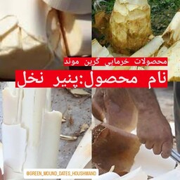 پنیر  درخت نخل خرما فروش بصورت کله کامل حداقل سفارش 2 کیلو