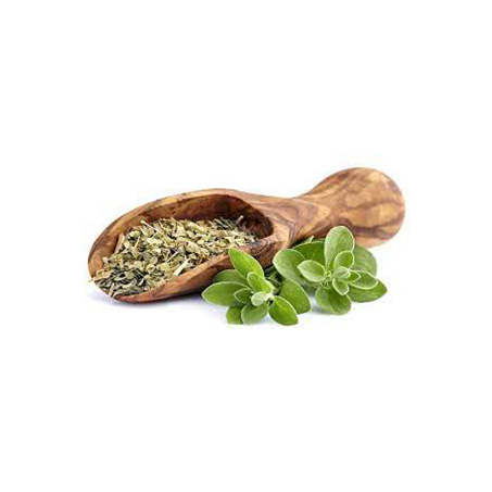 گیاه مرزنجوش