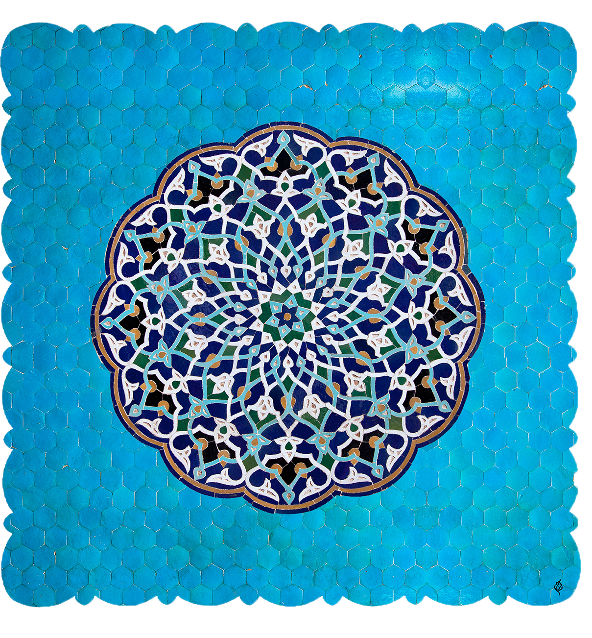 عسلی 50 کاشی