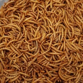 کرم بسته 100گرمی