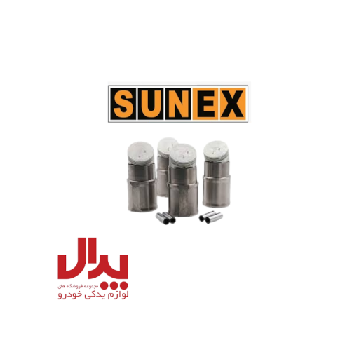 بوش و پیستون گرافیتی سانکس پژو 405