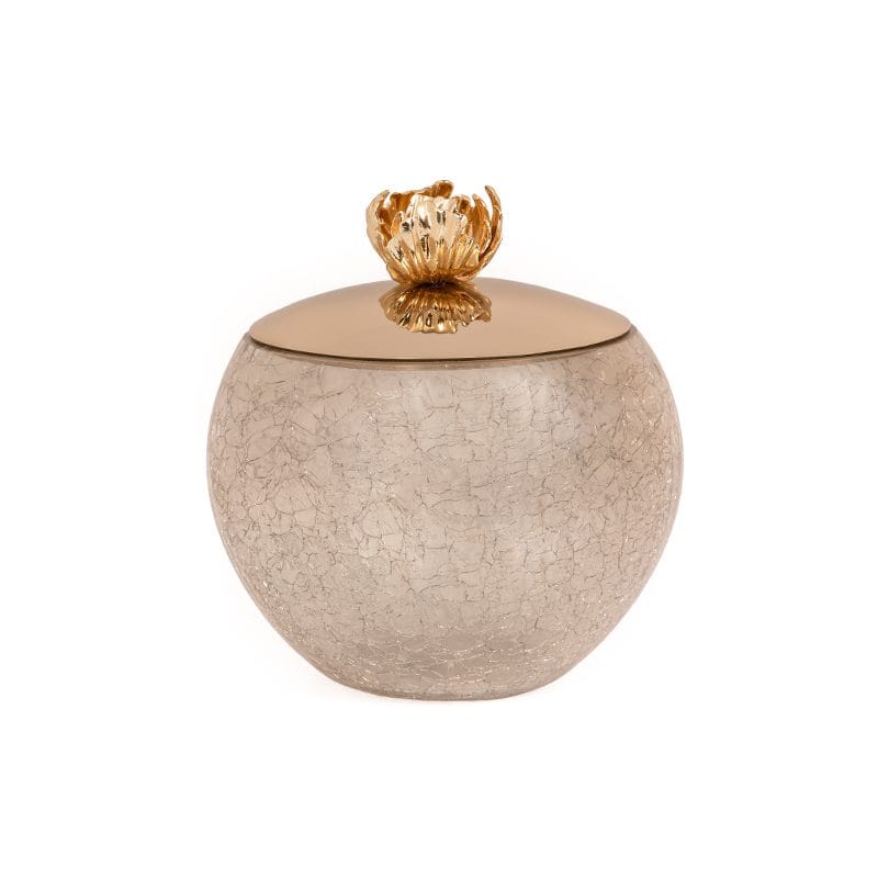 شکلات خوری - ظرف شیشه ای دردار B2 سایا برند ریتون