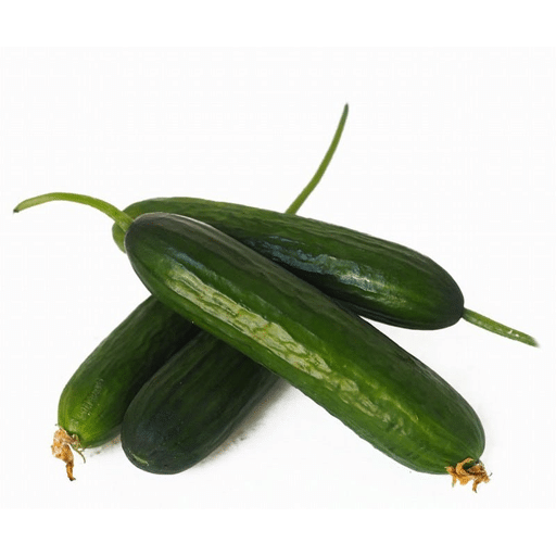 خیار بوته ای