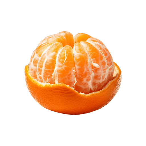 نارنگی شمال