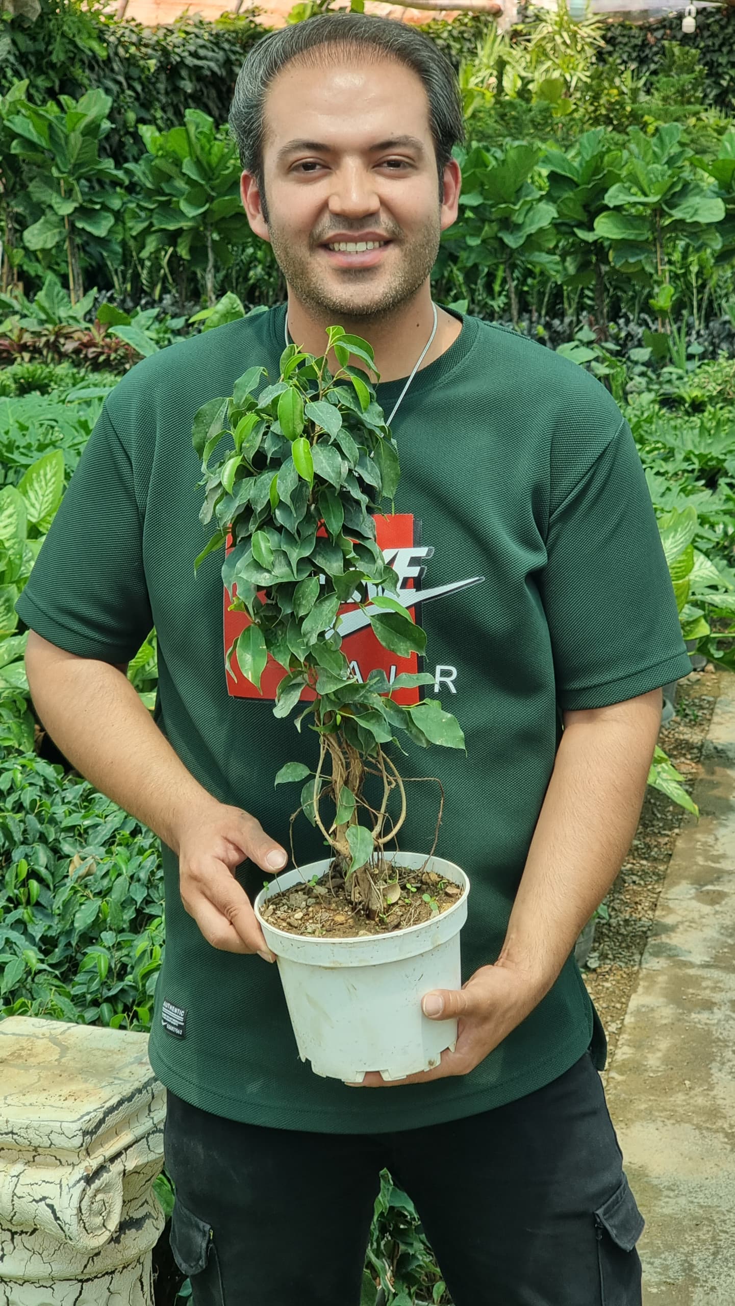 توضیحات تصویر