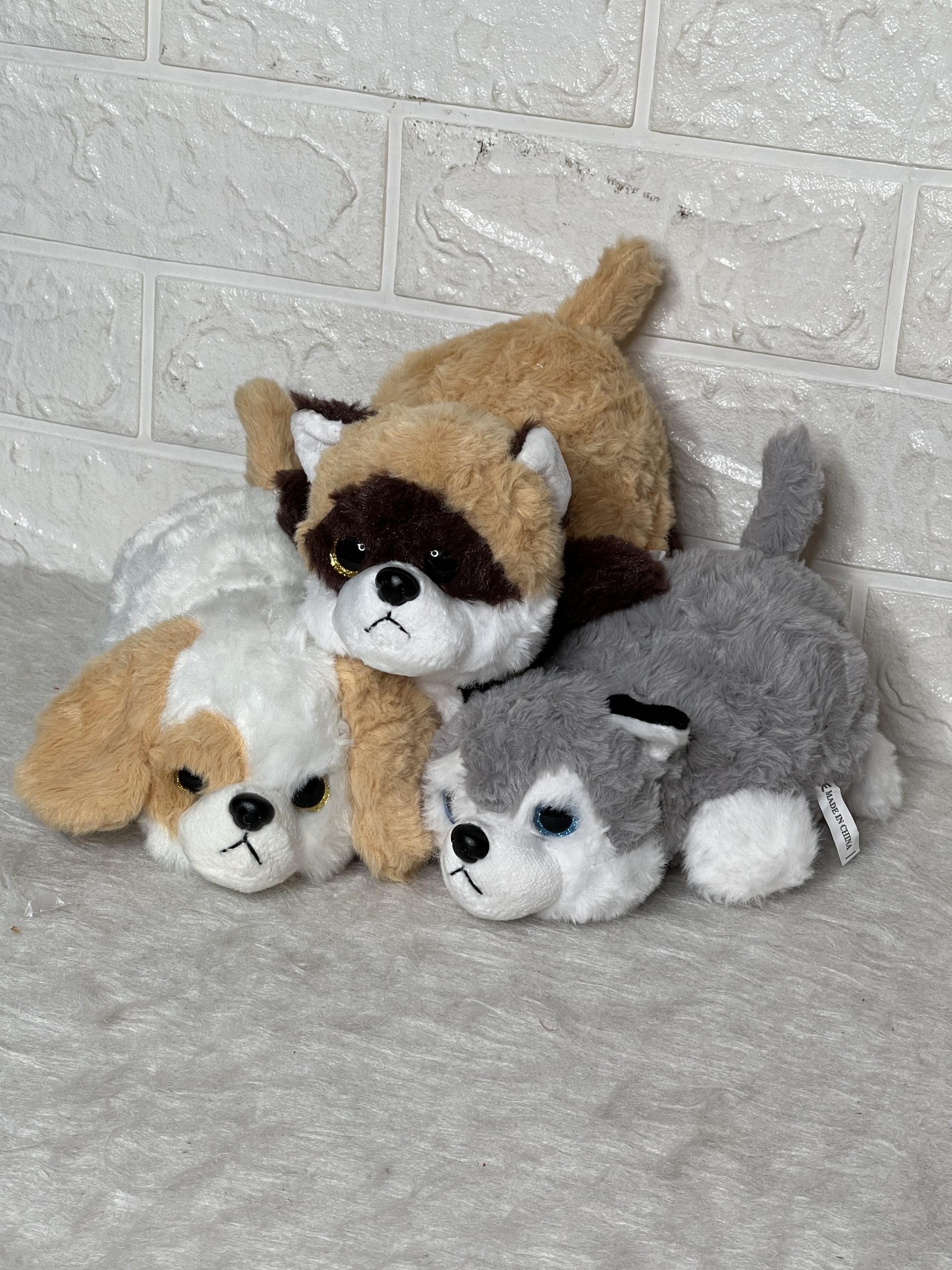 گربه وسگ و هاسکی خوابیده