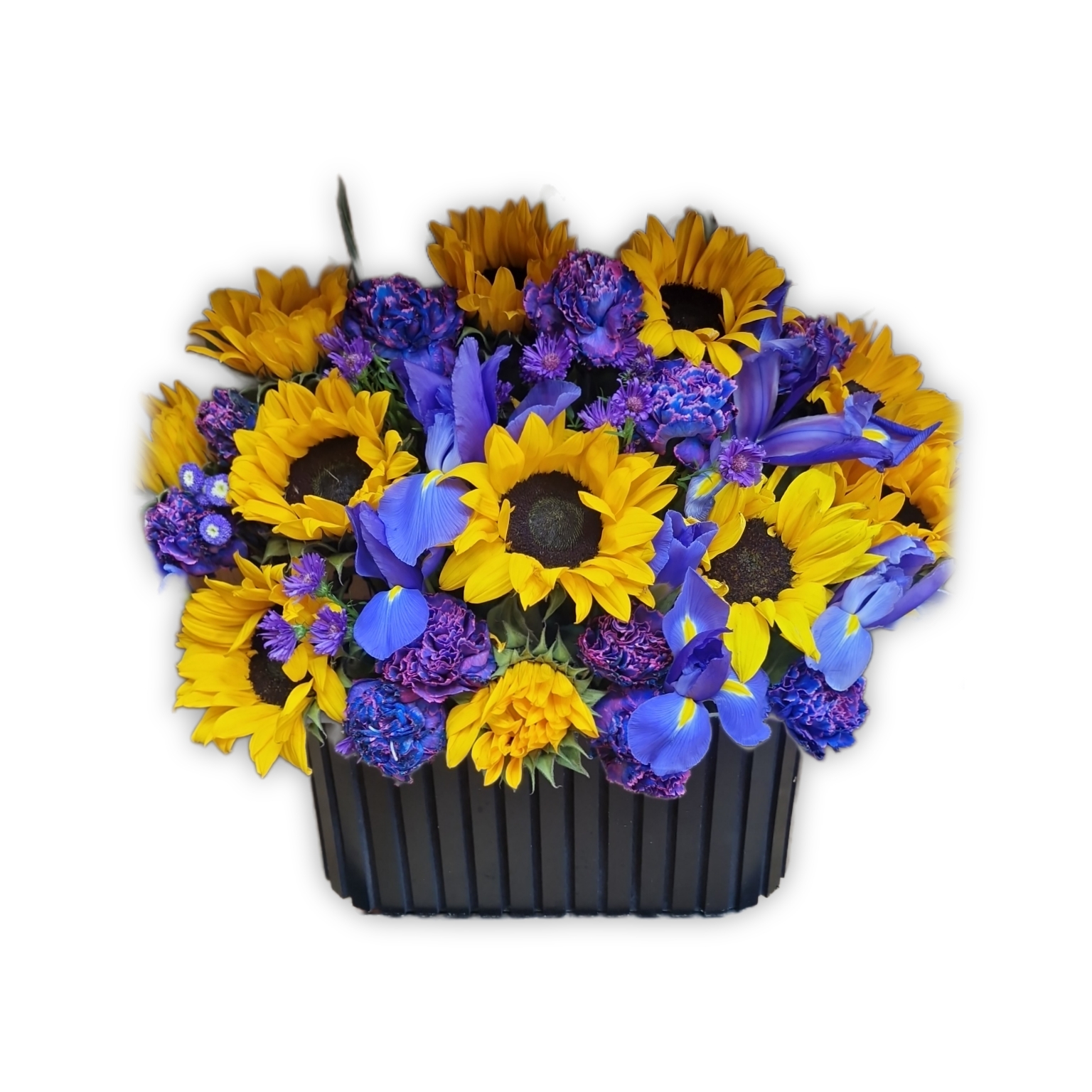 باکس گل آفتابگردون بنفش