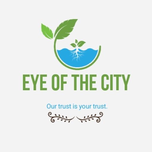 محمد هاشمی نیا