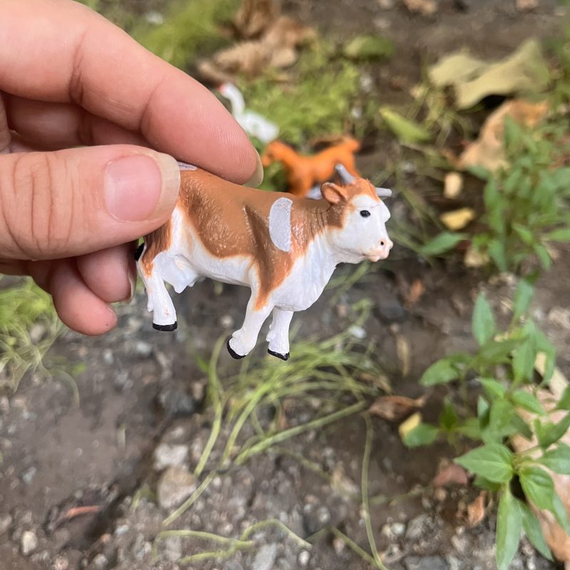 اسباب بازی فیگور حیوانات اهلی مناسب آشنایی با حیوانات و تقویت تخیل کودک