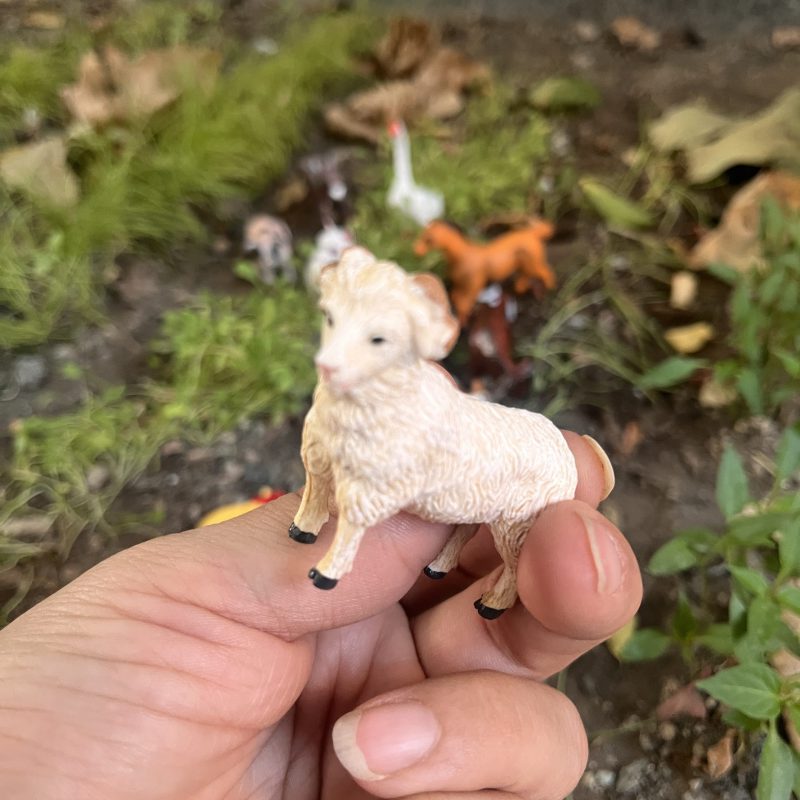 اسباب بازی فیگور حیوانات اهلی مناسب آشنایی با حیوانات و تقویت تخیل کودک