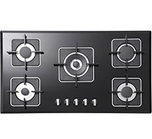 گاز صفحه ای استیل البرز G 5910