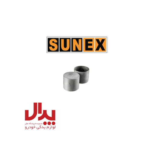 استکان تایپیت سانکس پژو 206 تیپ 5