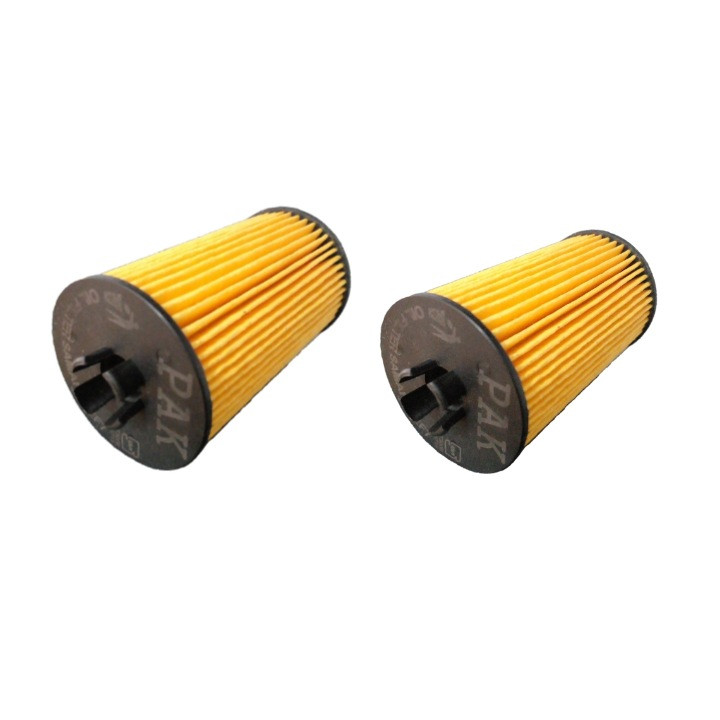 فیلتر روغن پاک مدل 933 مناسب برای سمند ملی بسته 2 عددی