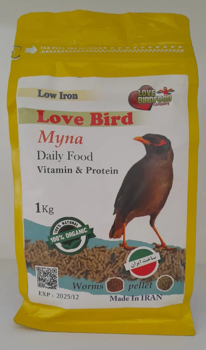 غذا مرغ مینا