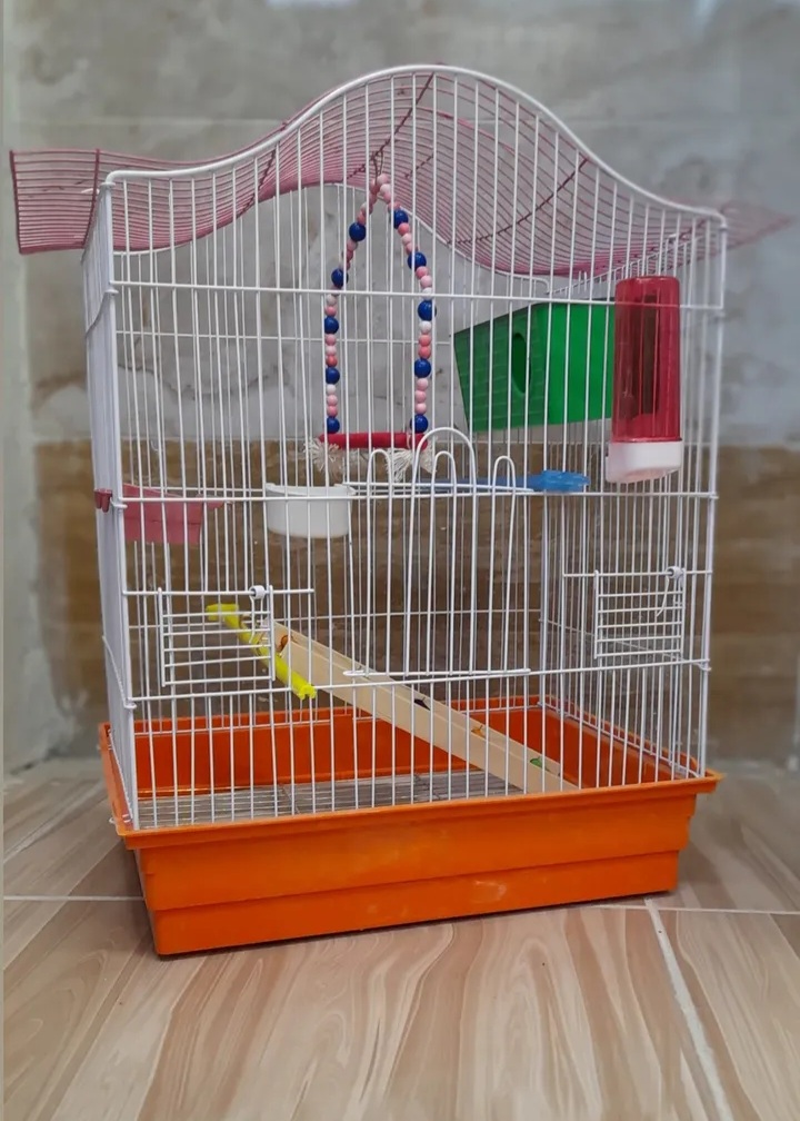 قفس پرندهمدل 1