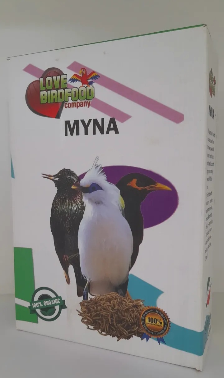 غذا خشک مرغ مینا