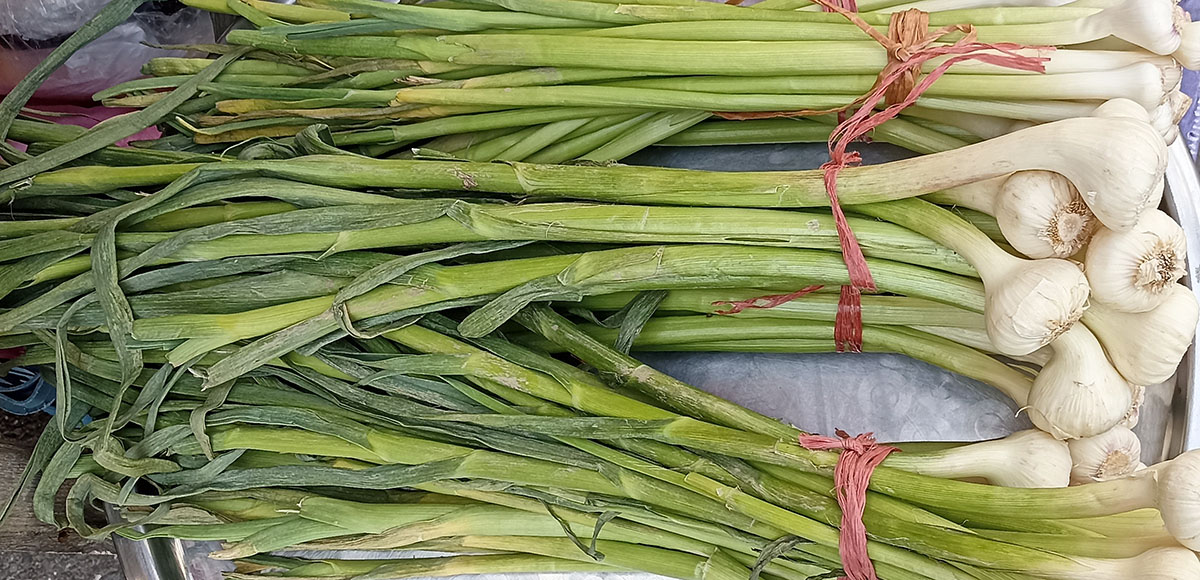 سیرتر پاک نشده بابرگ(1کیلویی)خانگی شمالی (این محصول فصول مختلفی فقط بصورت تروتازه موجود است قبل ازسفارش استعلام موجود...