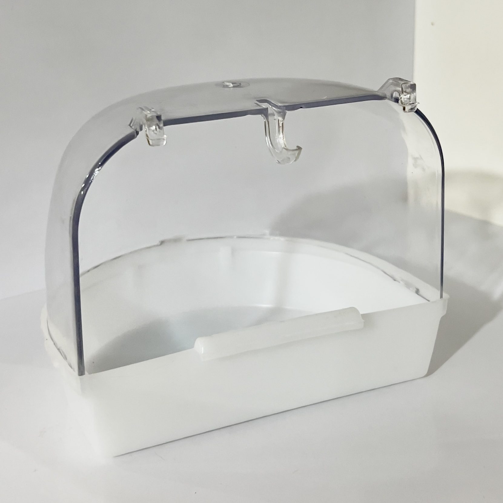 وان حمام بیرون قفس طوطی سانان و پرندگان