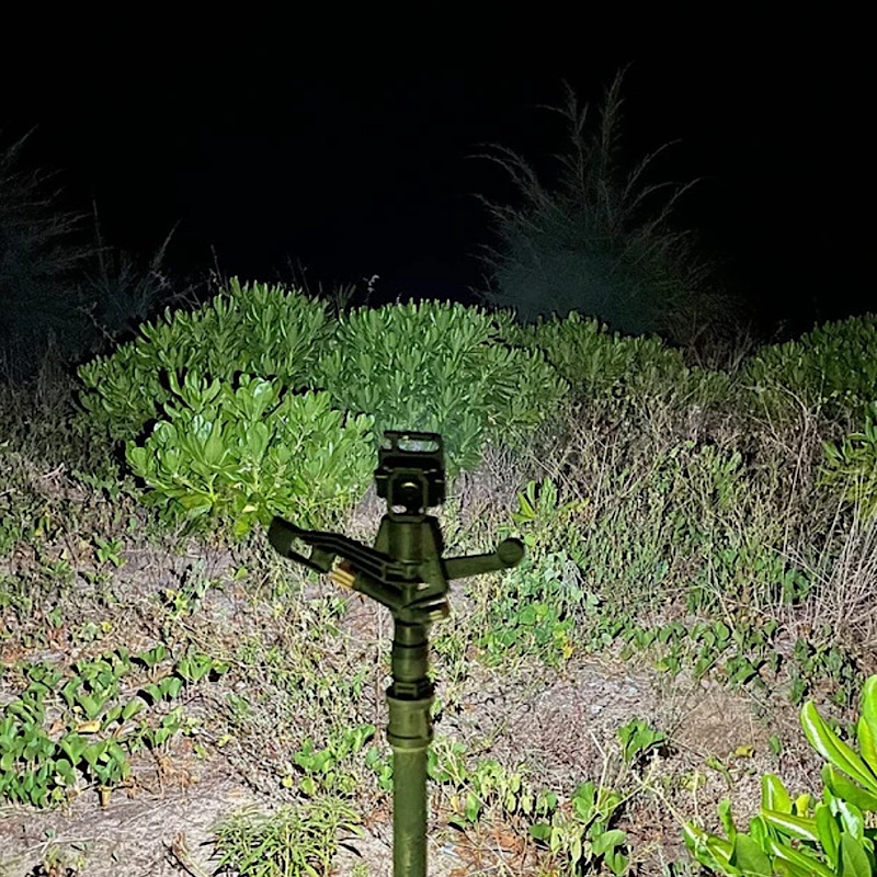 لامپ جیبی کمپینگ و کوهنوردی zananeshop