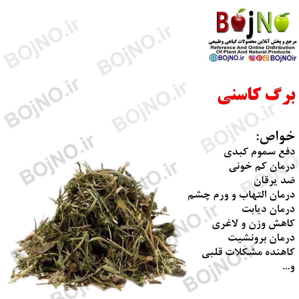 برگ کاسنی 100گرمی