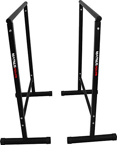 پارالل متحرک آمادگی جسمانی ( دیپ بار ثابت)