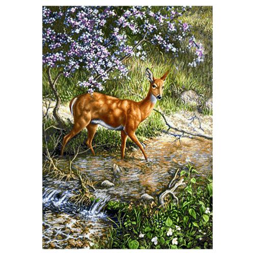 حیوانات مدل اهو کد 26048