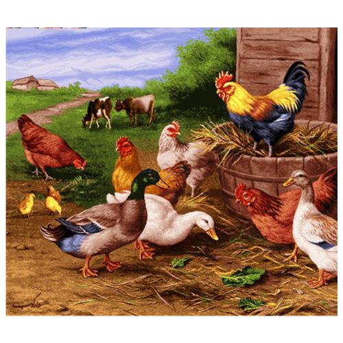 حیوانات مدل مرغ وخروس کد 26001